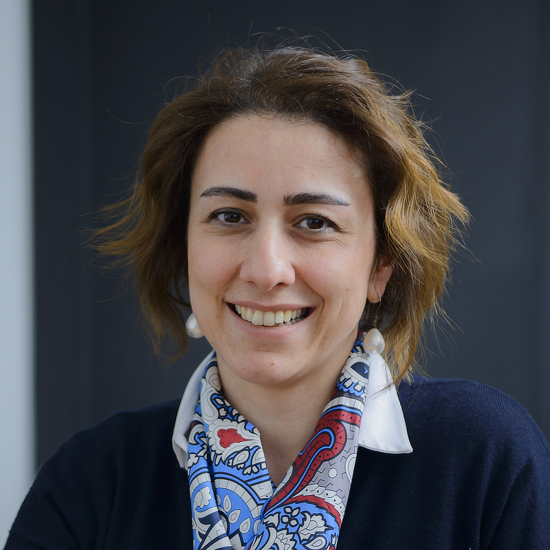 Deniz Leblebici Basar - University of New Haven